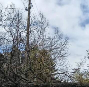 В Прикамье из-за непогоды возникли локальные нарушения электроснабжения