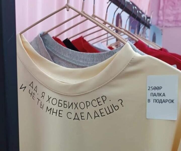 Пермский предприниматель выпустил в продажу серию футболок для квадроберов и хоббихорсеров