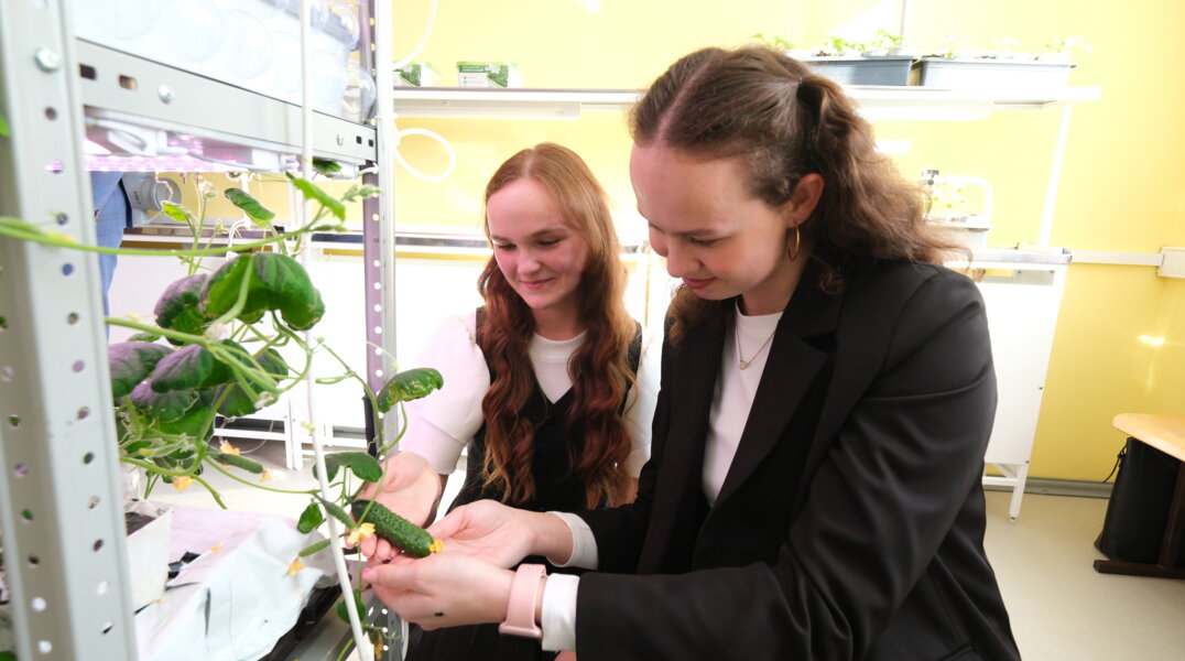 В Прикамье в течение четырех лет откроют еще около 40 агроклассов