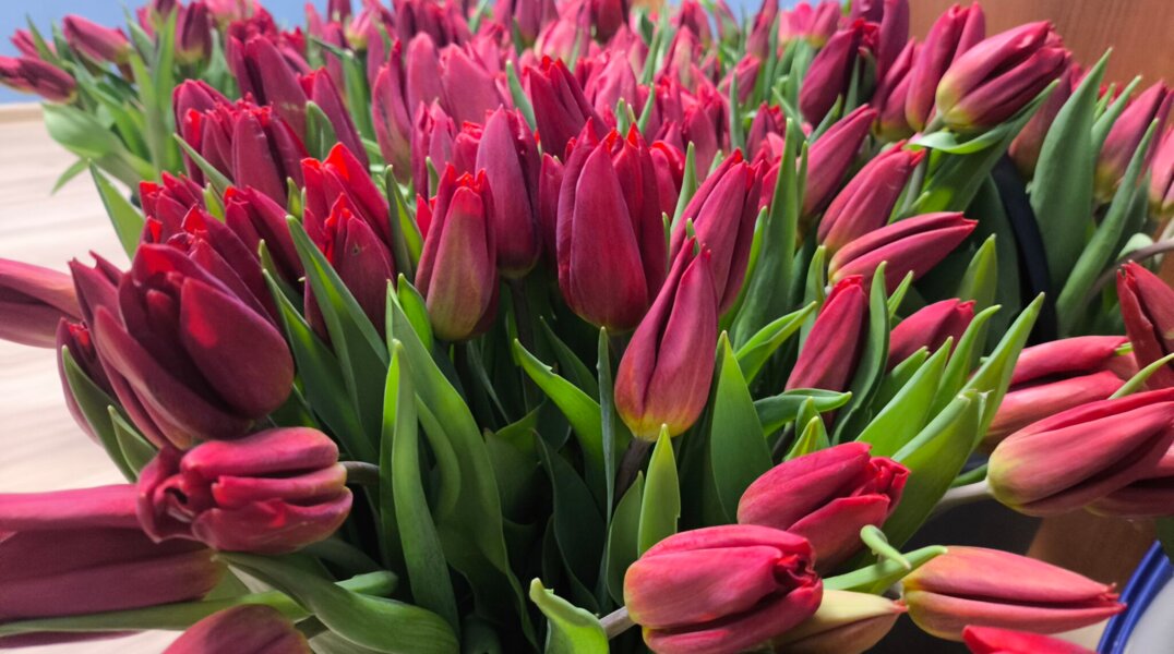 Пермячки на 8 Марта мечтают о деньгах и путешествиях