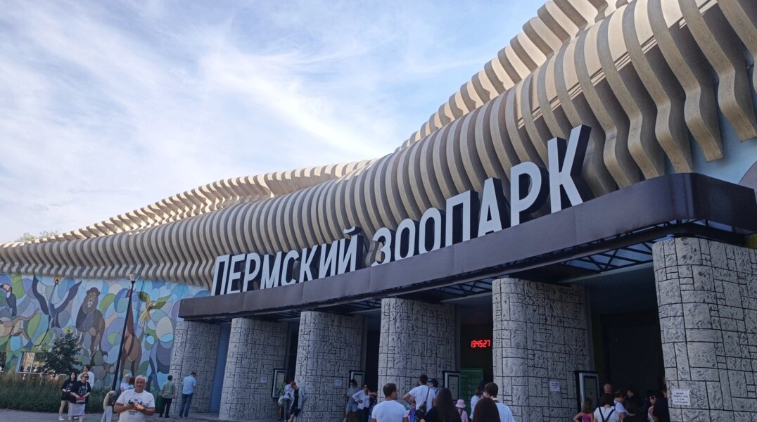 Первоклассники смогут бесплатно посетить Пермский зоопарк в День знаний