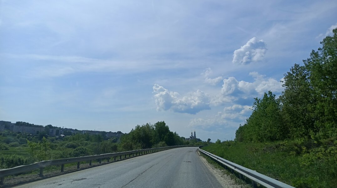 В Прикамье две иномарки уходили от столкновения с лосями и перевернулись