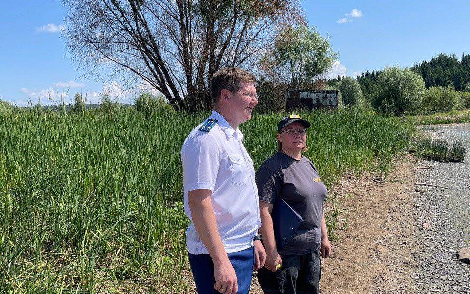 Природоохранная прокуратура проверяет массовую гибель рыбы в Перми