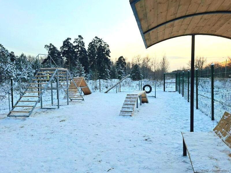 В двух районах Перми появились новые площадки для выгула собак