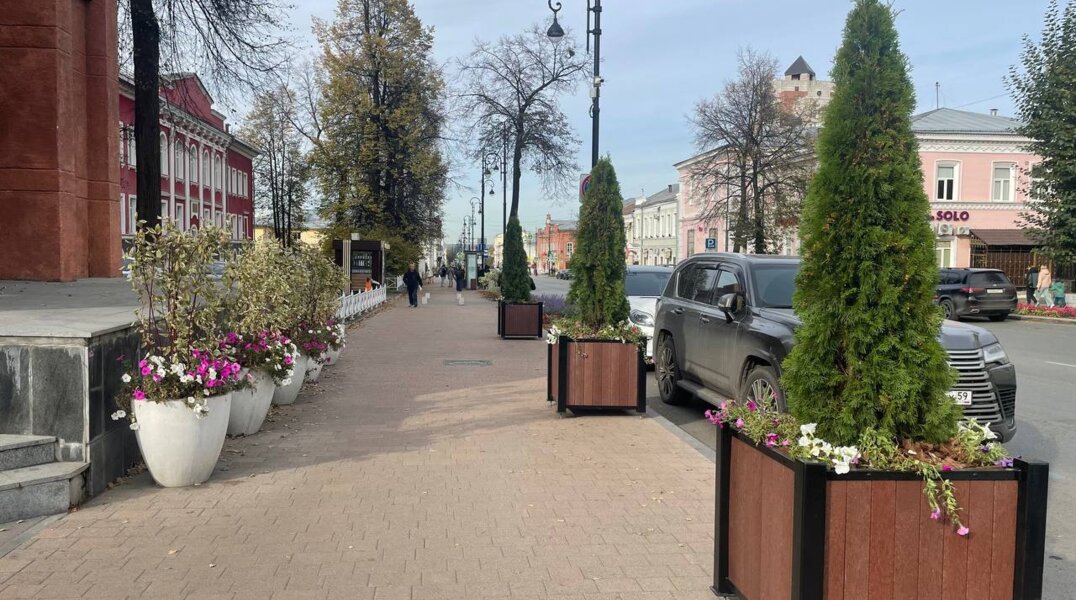 Мэрия пообещала убрать кадки с деревьями с улиц Перми до конца ноября