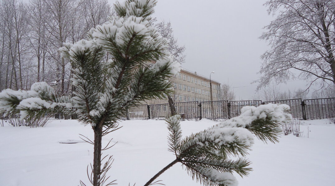 Первая декада этого января стала самой теплой за последние 40 лет в Перми