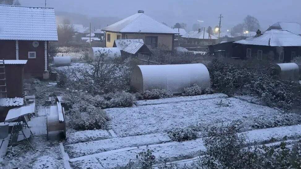 снег 