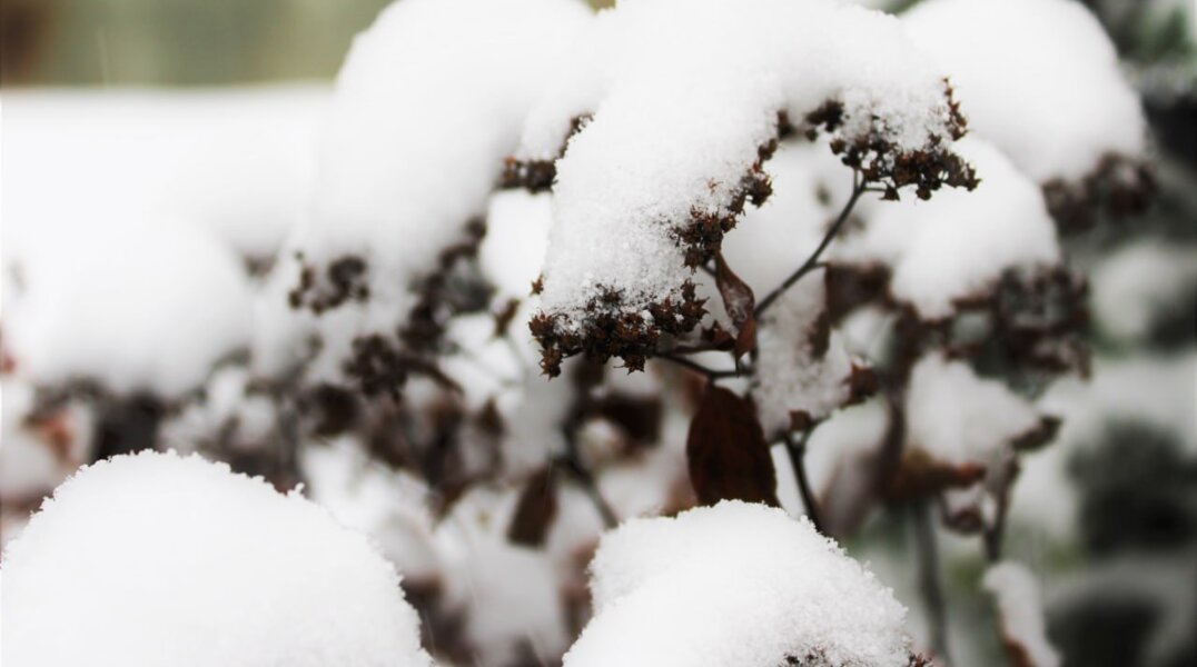 К утру 11 декабря снежный покров в Перми может увеличиться на семь сантиметров