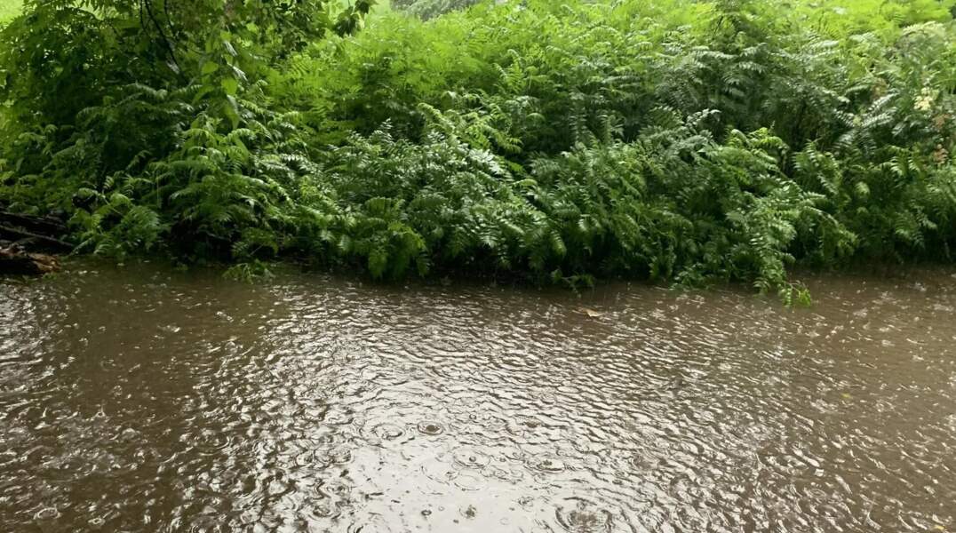 ливень дождь осадки 