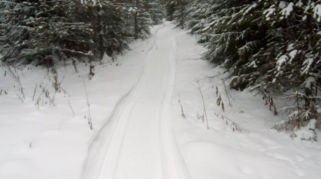 В природном парке «Пермский» организовали три лыжных маршрута