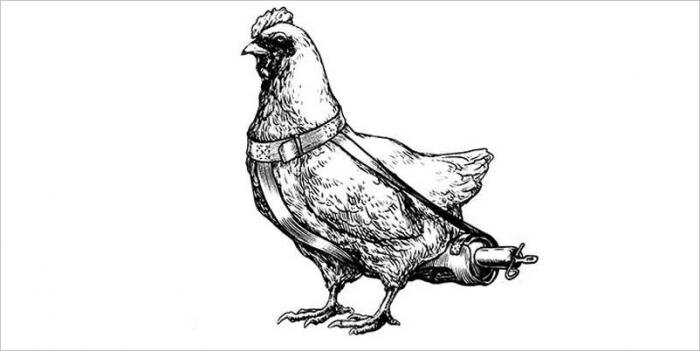 В селе Платошино Пермского края на Аллее Славы открыли стенд, посвященный «Боевым курам Сталина»