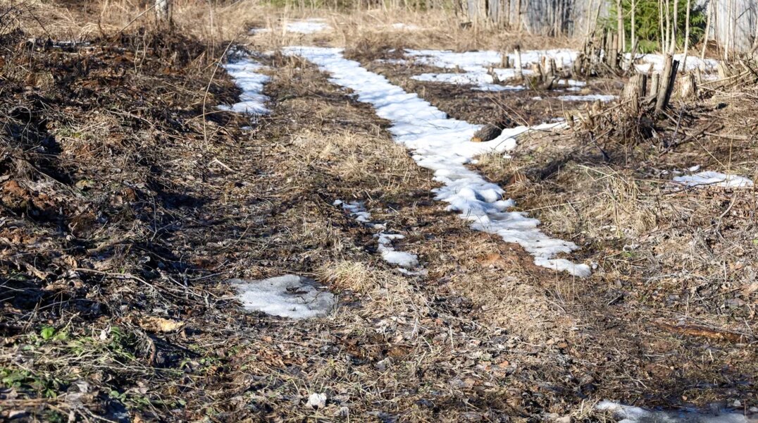 На лыжной базе Перми обнаружили тело гендиректора крупной компании