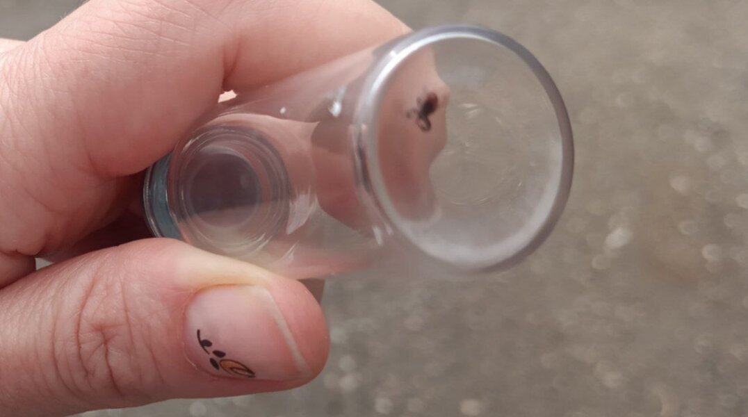 В Прикамье от клещей уже пострадало более 16 тысяч человек