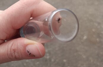 В Прикамье число пострадавших от укусов клещей выросло до 125 человек