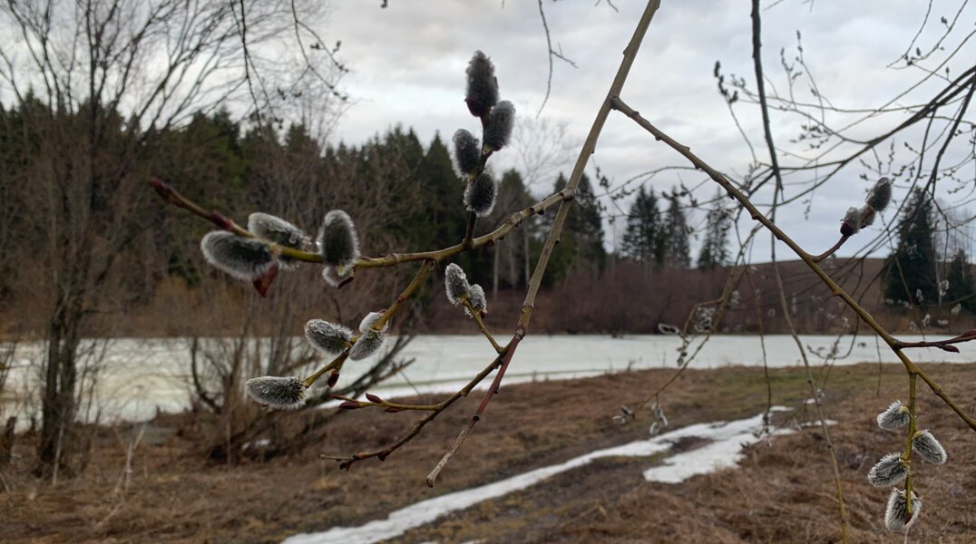 В Пермский край после второго мая придет похолодание