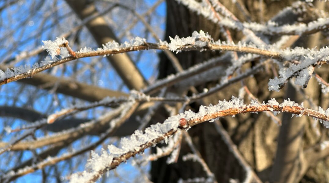 В выходные жителей Пермского края ждет похолодание до -17 градусов