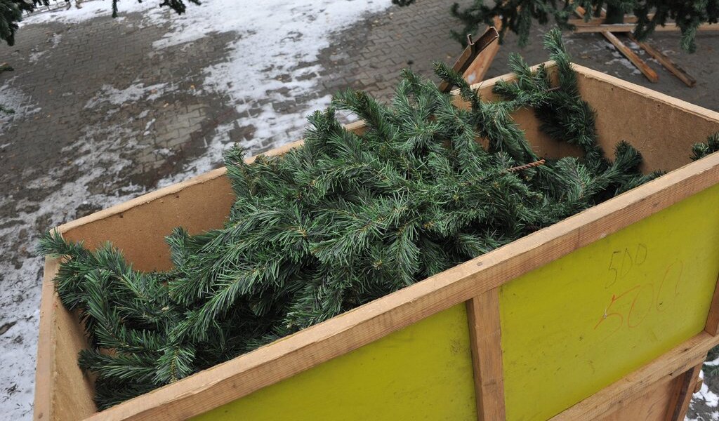 После праздников пермяки смогут сдать елки на утилизацию