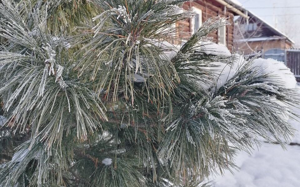 В выходные Пермский край накроют заморозки и снегопады