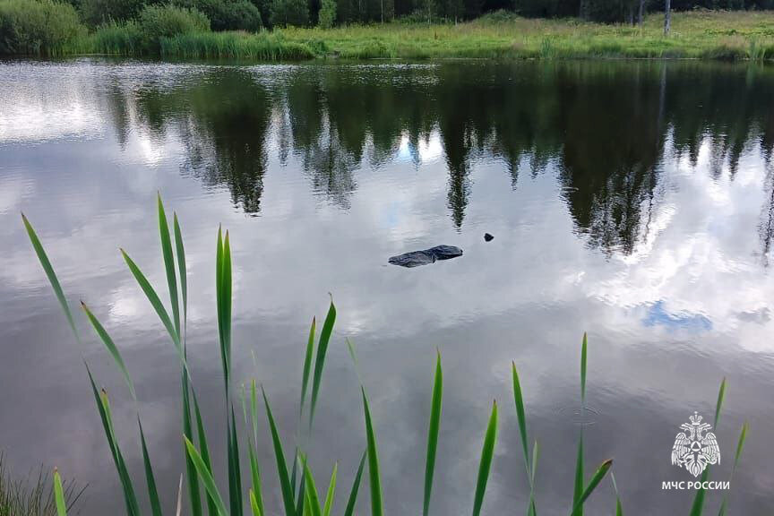 С начала года в водоемах Прикамья утонуло семеро детей