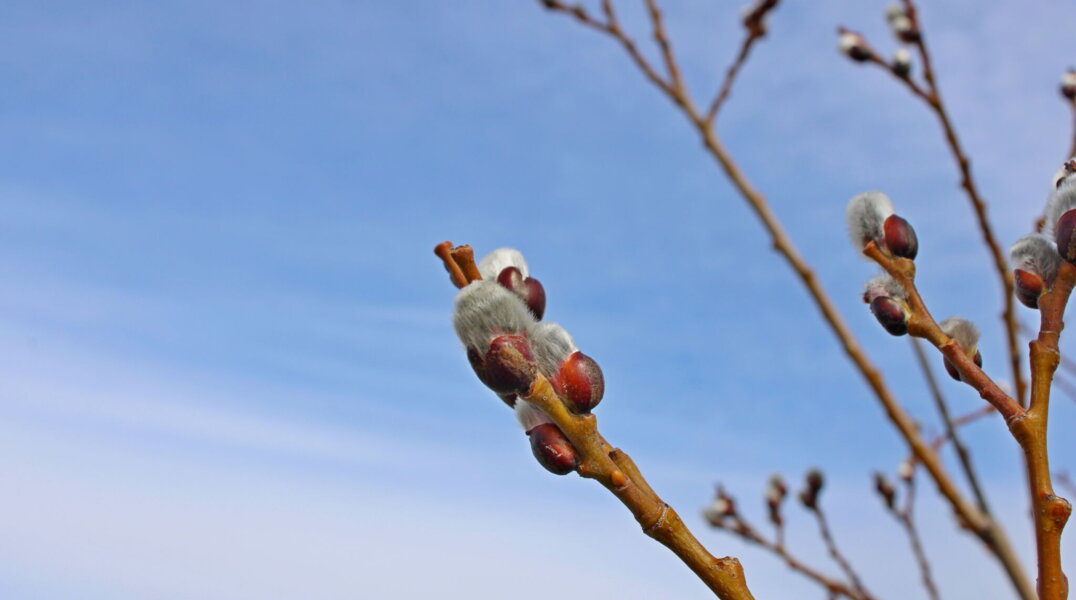 Эксперты рассказали, каким будет апрель в Прикамье