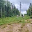 В Прикамье после шквалов устранили более 300 обрывов на линиях электропередачи