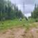 В Прикамье после шквалов устранили более 300 обрывов на линиях электропередачи