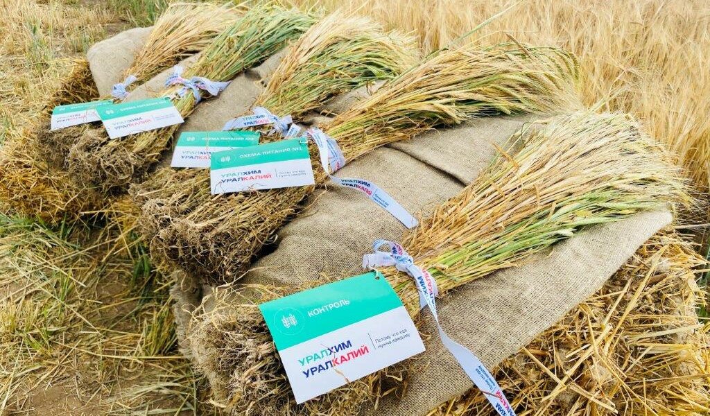 «Уралхим» на практике показал преимущество использования удобрений компании