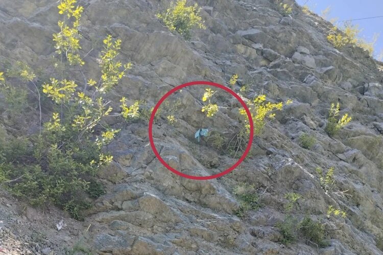 В Пермском крае отец троих детей разбился насмерть, упав со скалы на турбазе