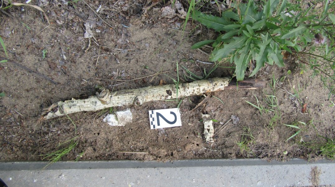 Пермяк избил незнакомца веткой дерева, отчего тот скончался