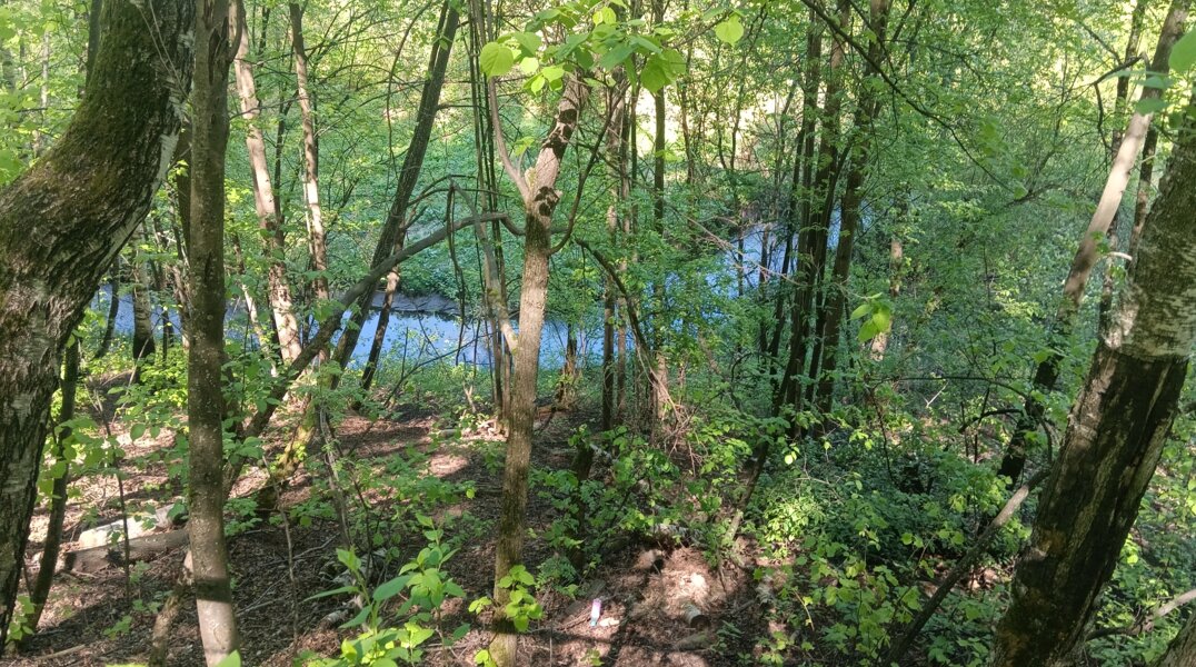 Часть реки Егошиха освободят от коллектора для благоустройства территории завода Шпагина