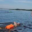 В Чайковском пройдет массовый заплыв через Воткинское водохранилище