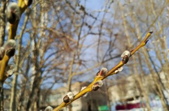 Последние дни марта будут аномально теплыми в Прикамье 