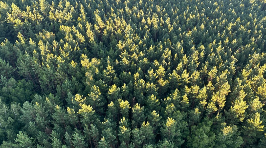 В краевой бюджет поступило 3,2 млн рублей от туристов за посещение ООПТ