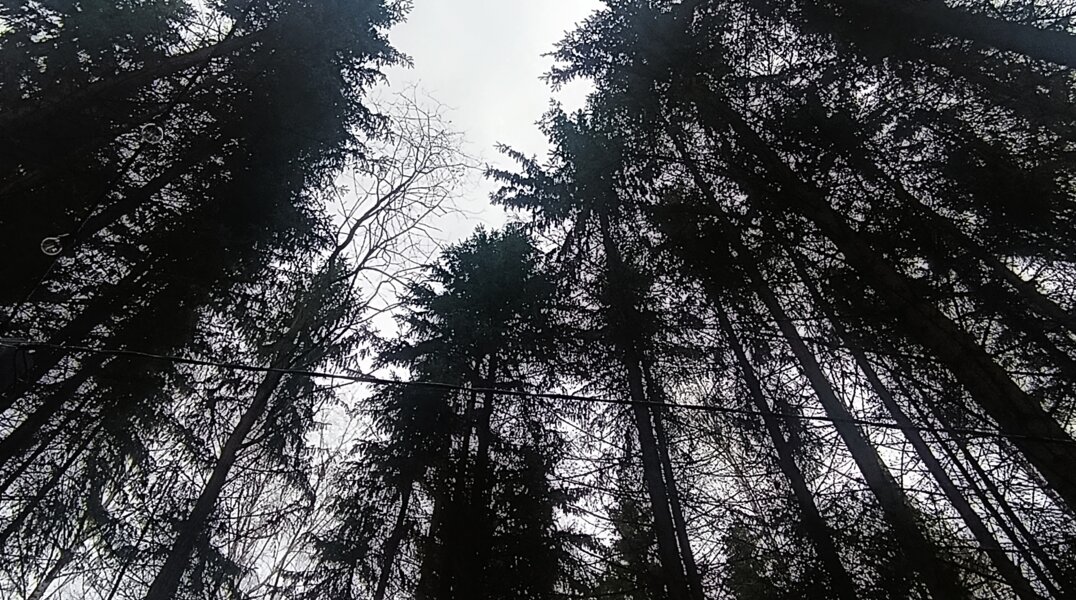 В Перми четвертые сутки будут искать 17-летнюю девушку