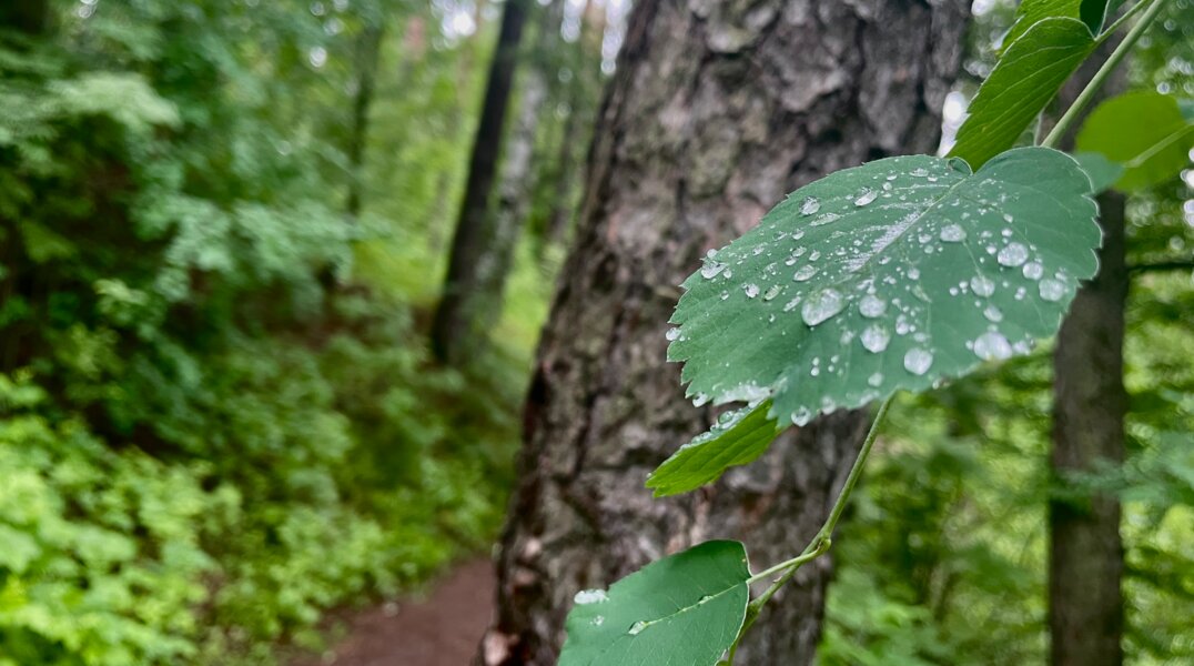 Пропавшего в Очере школьника нашли живым