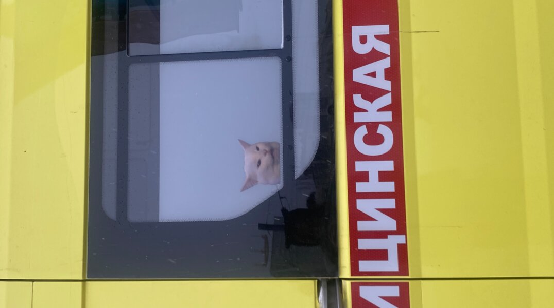 Один сосед – сто бед. Как жить рядом с человеком с психическими отклонениями