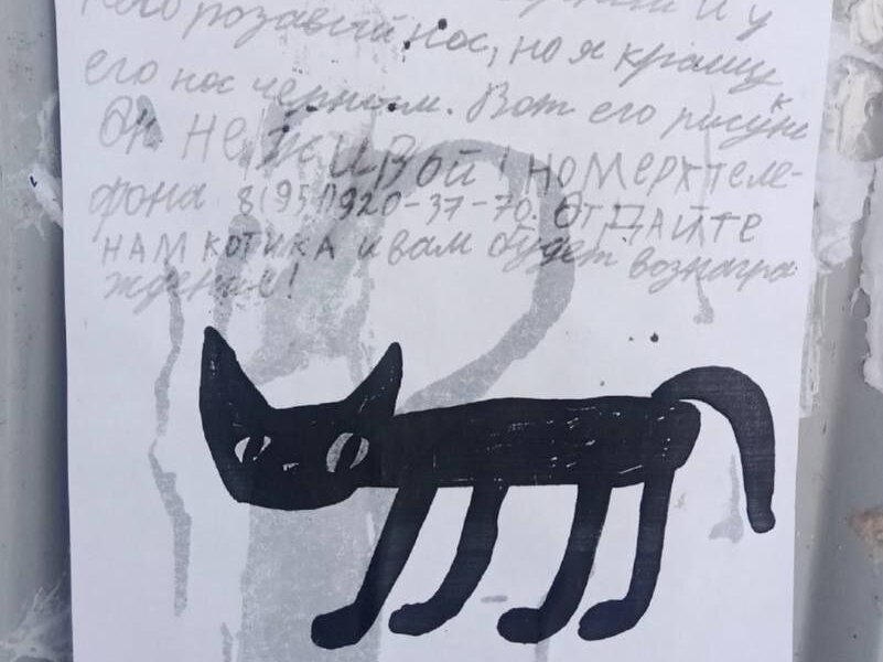 В Перми департамент транспорта подключился к поиску плюшевого котенка