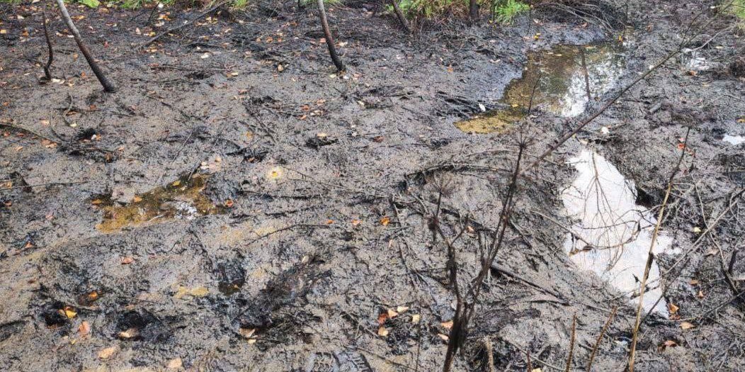 На севере Прикамья обнаружили разлив нефтепродуктов