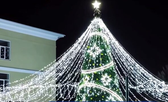 Новогодняя ель из Прикамья украсила главную площадь Северодонецка