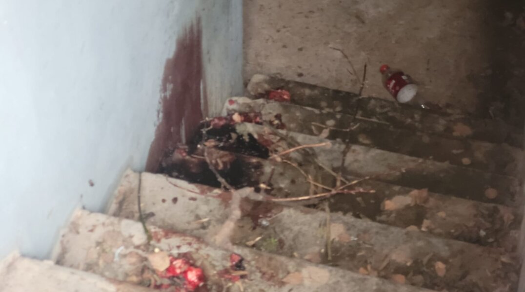 СМИ: СК подтвердил наличие человеческих останков в подвале дома в Перми