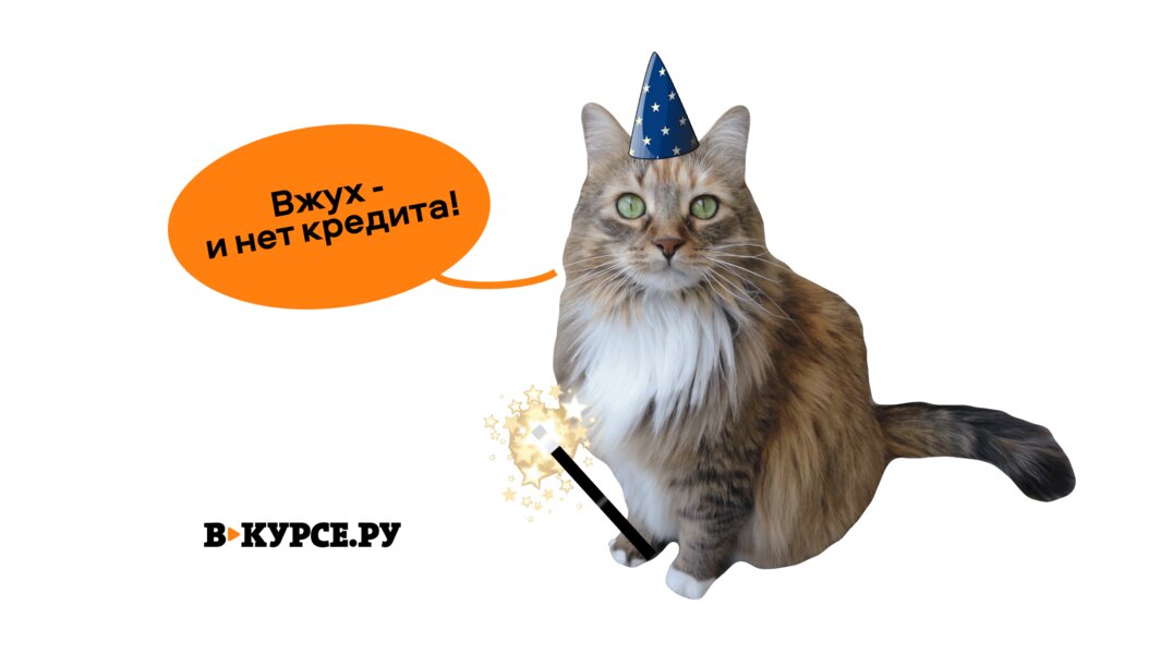 Котики-талисманы: какие породы приносят своим хозяевам богатство, удачу и любовь