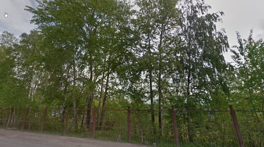 В Перми на Гайве снесут 321 дерево, чтобы начать строить бассейн