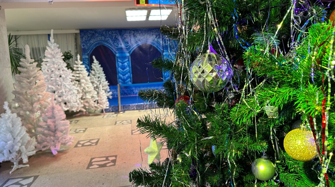 В Перми живые ели в ноябре подешевели на 16 процентов