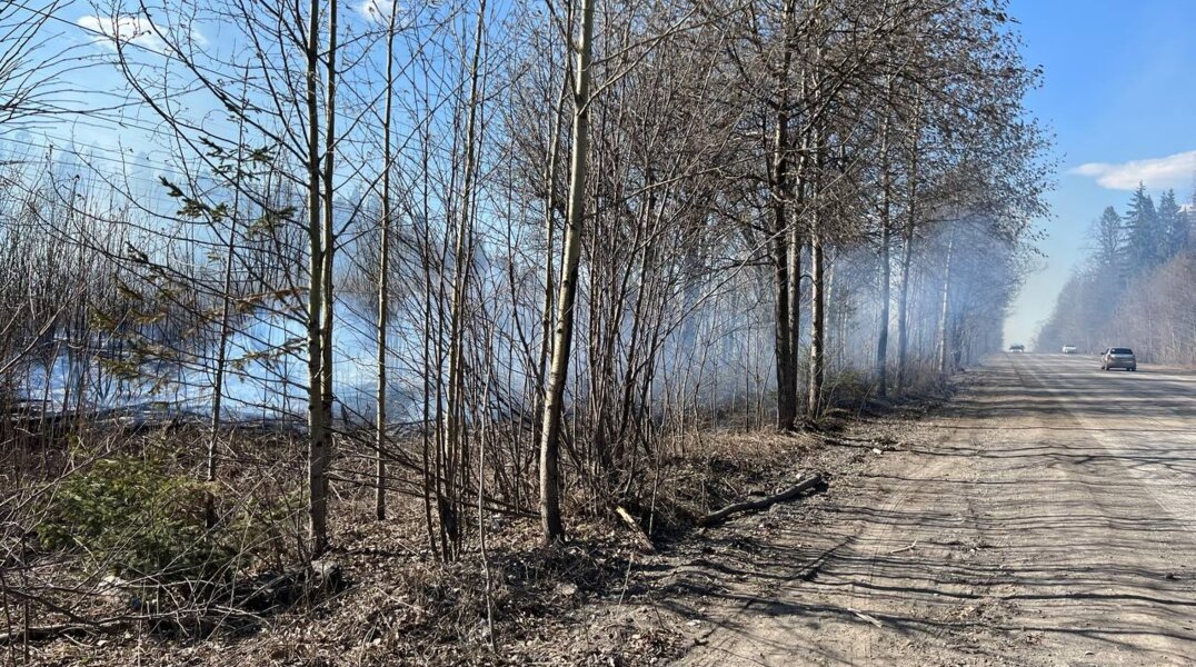На Сылвенском тракте в Перми сгорело 600 квадратных метров сухой растительности