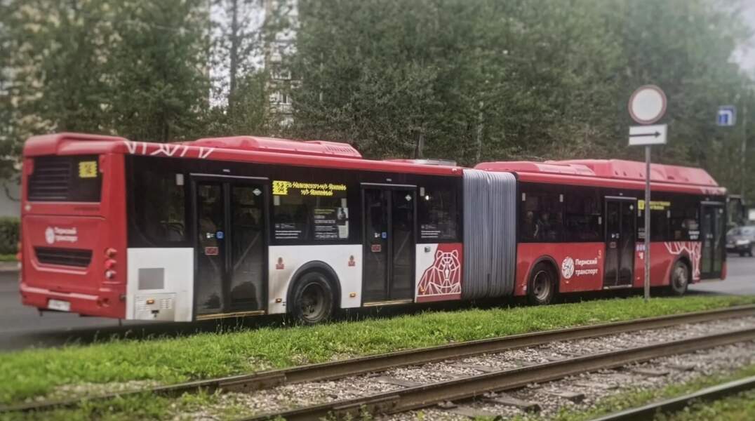 автобус 14