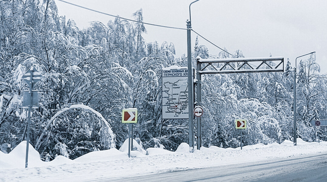 В Прикамье за две недели нового года на дорогах пострадало десять диких животных