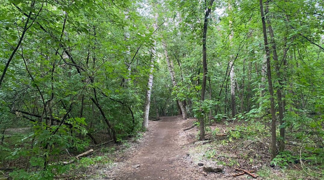 Замерзают в лесу. В Очерском округе с ночи ищут двух подростков