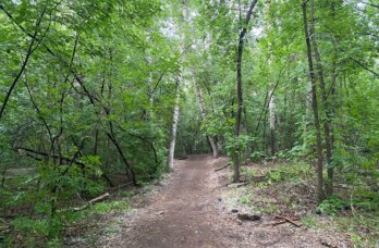 Шантажировали и заставили копать могилу. Прикамцев обязали выплатить компенсацию за вымогательство