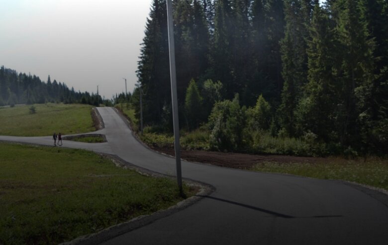 В Шиловском лесу под Пермью открыли лыжероллерную трассу