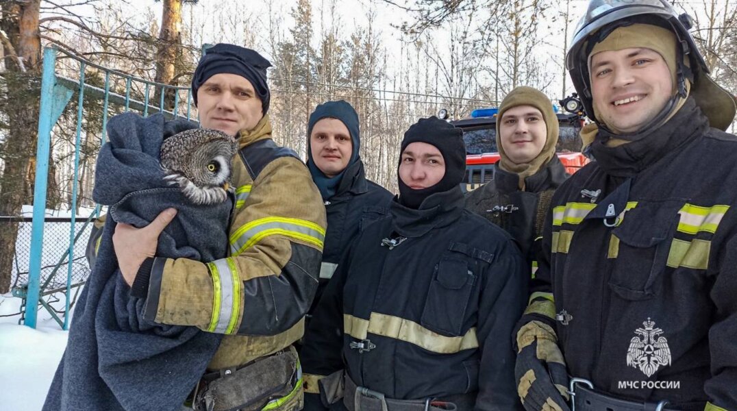 В Краснокамске сотрудники МЧС спасли сову из сугроба